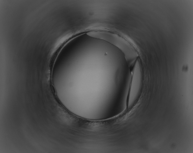 X0000091171461200708301145