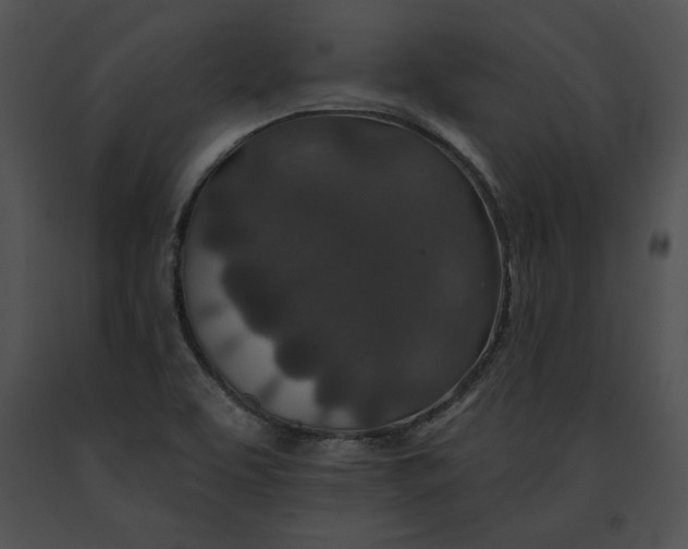 X0000091171463200708301145