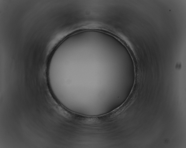 X0000091171464200708301145