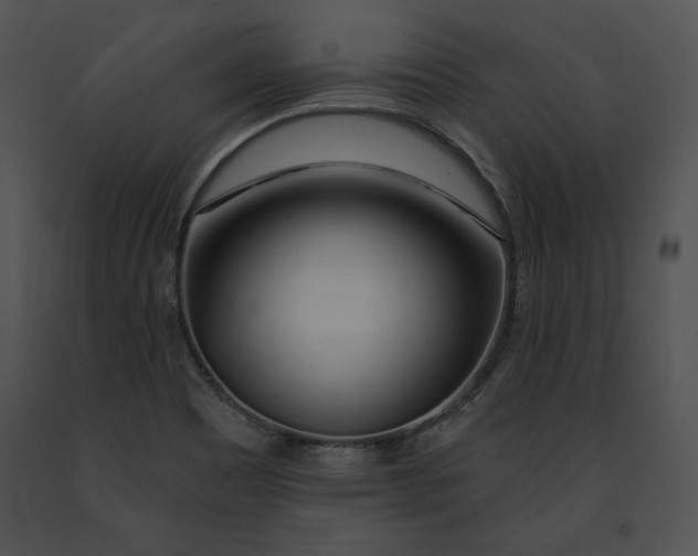 X0000091171465200708301145