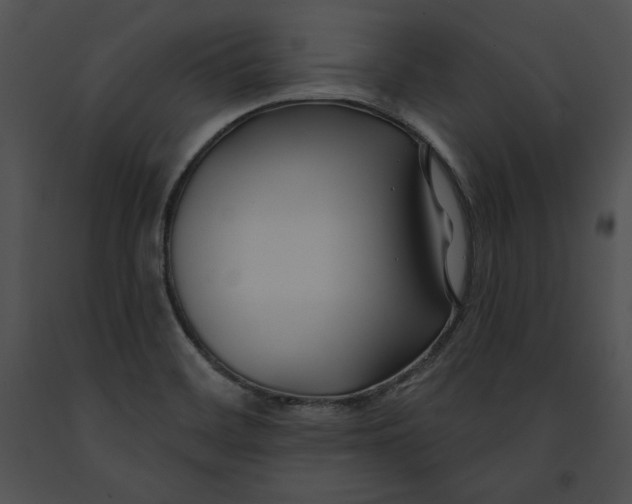 X0000091171468200708301145