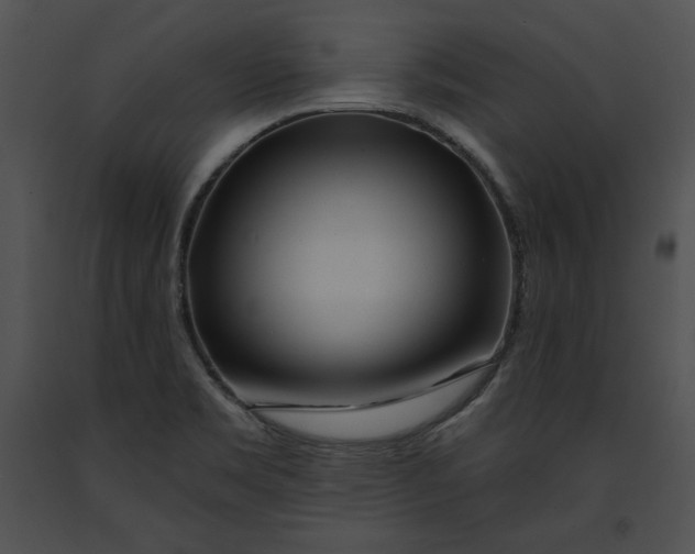 X0000091171469200708301145