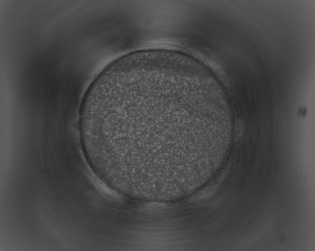 X0000091171470200708301145