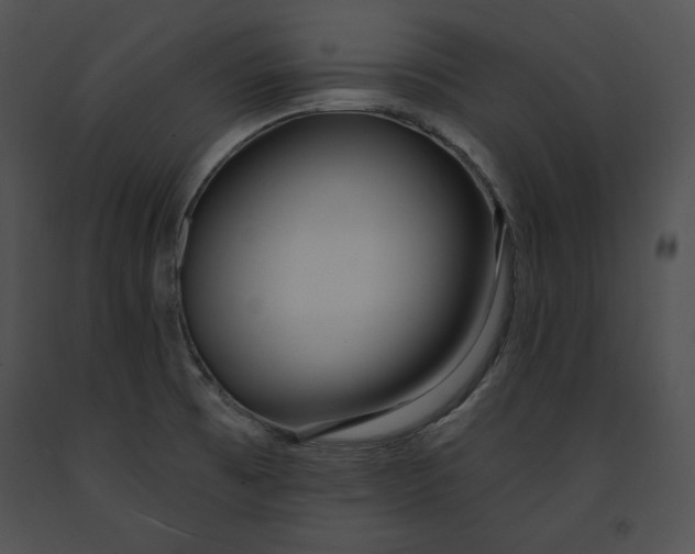 X0000091171473200708301145