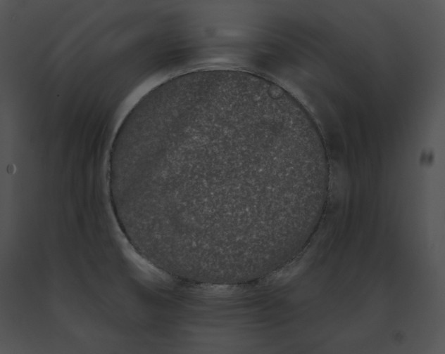 X0000091171474200708301145