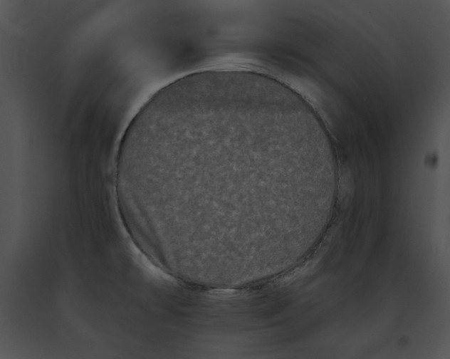 X0000091171478200708301145