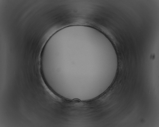 X0000091171479200708301145