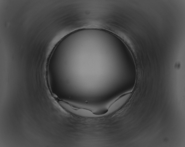 X0000091171480200708301145