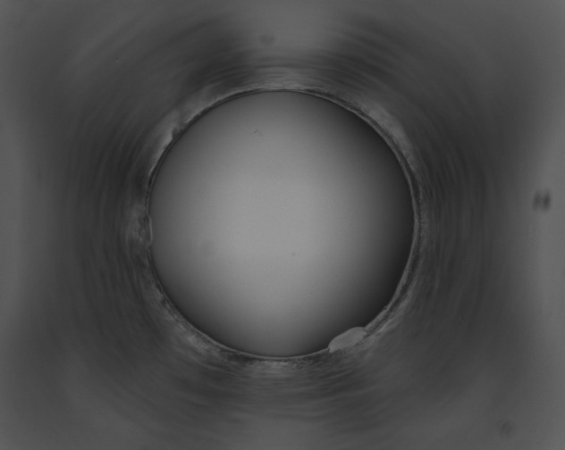 X0000091171481200708301145