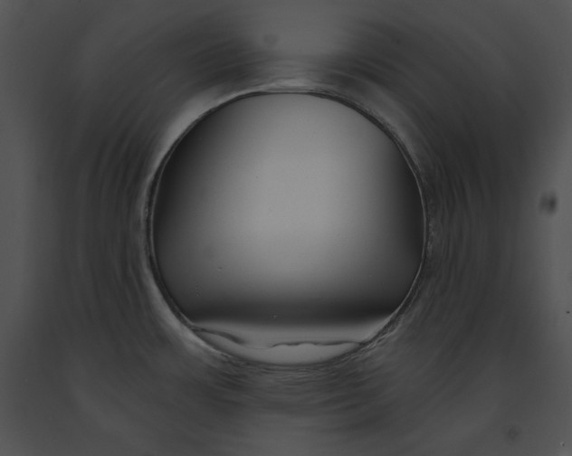 X0000091171483200708301145