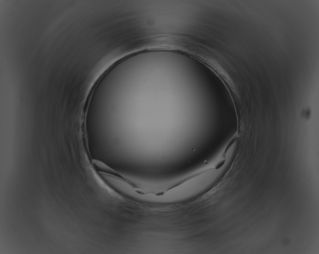 X0000091171484200708301145