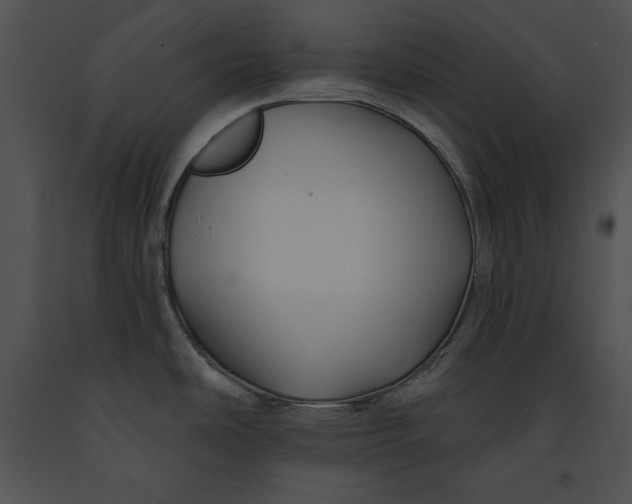 X0000091171486200708301145