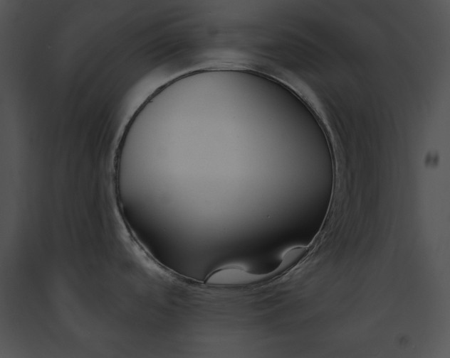 X0000091171488200708301145