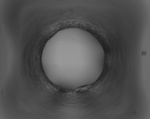 X0000091171489200708301144