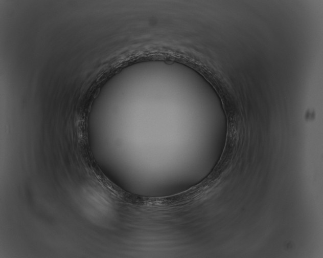 X0000091171490200708301144