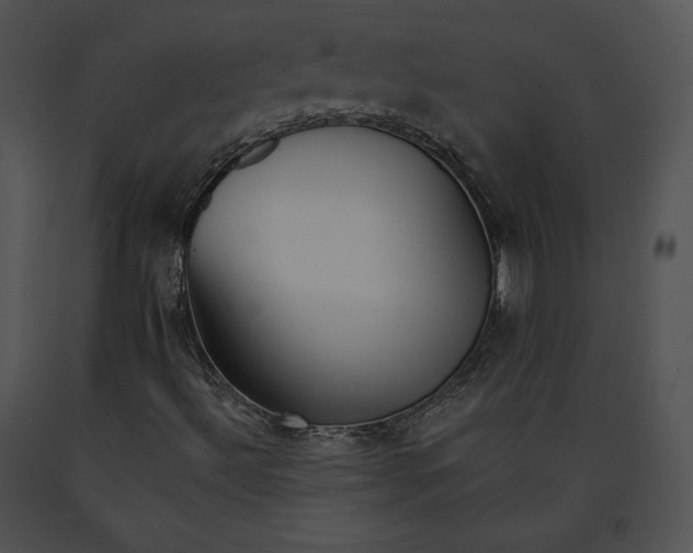 X0000091171492200708301144