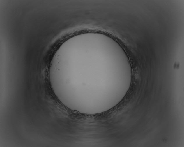 X0000091171495200708301144