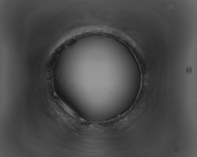 X0000091171496200708301144