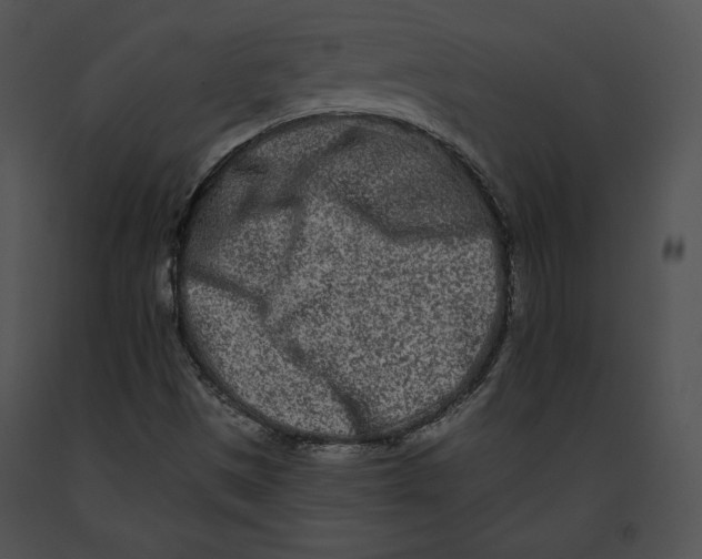 X0000091171497200708301144