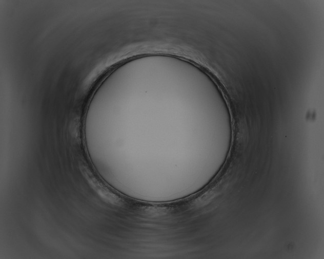 X0000091171499200708301144