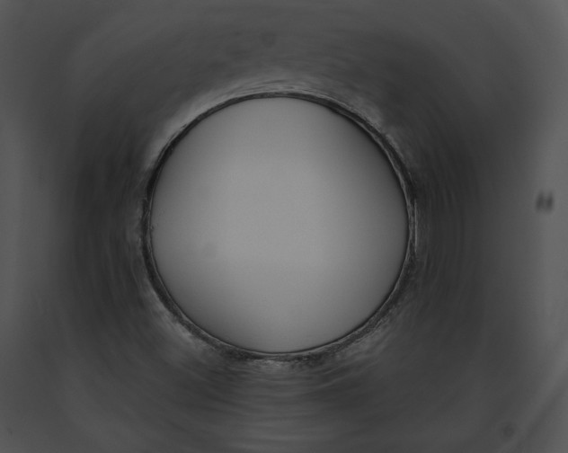 X0000091171500200708301144