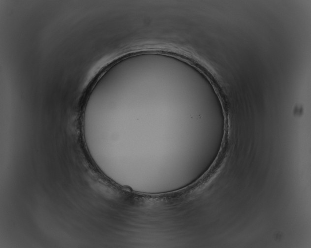 X0000091171501200708301145