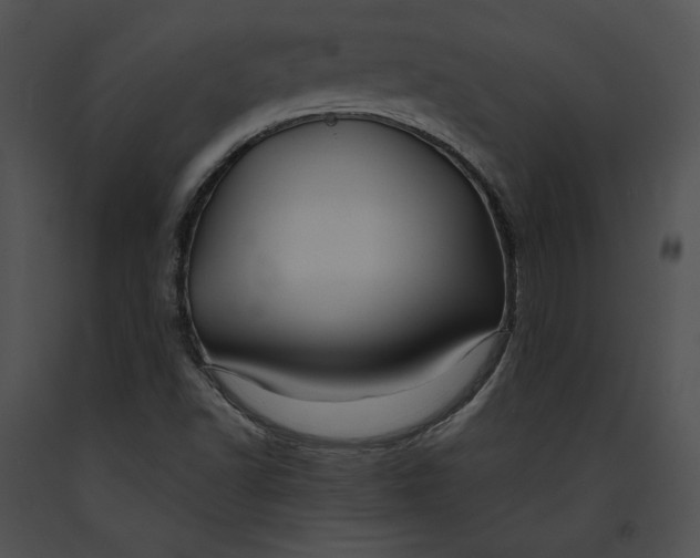 X0000091171502200708301145