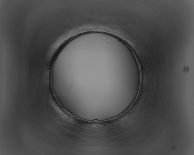 X0000091171503200708301145