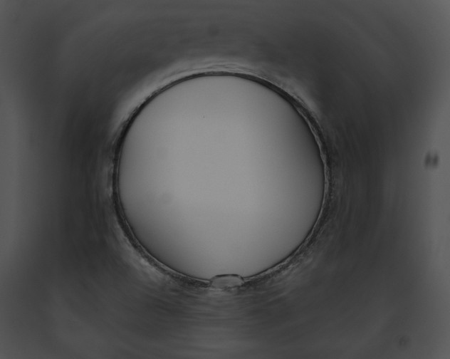 X0000091171504200708301145