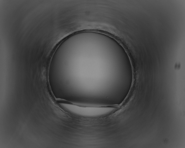 X0000091171505200708301145