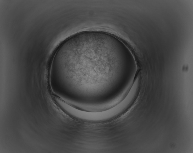 X0000091171506200708301145