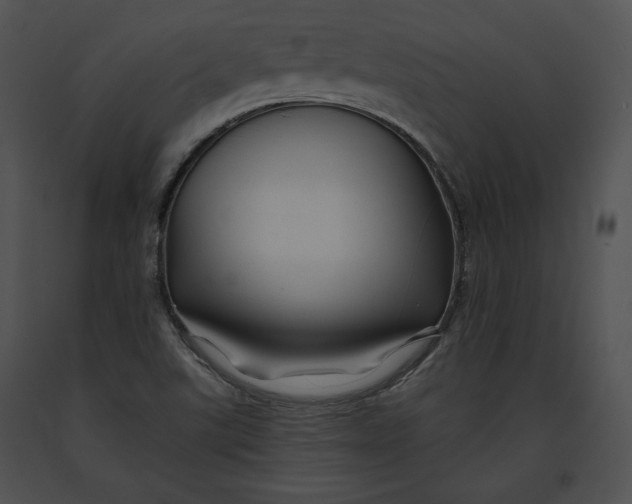 X0000091171507200708301145