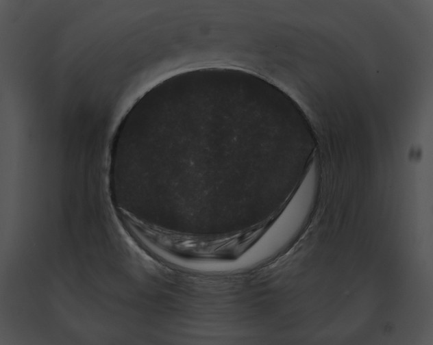 X0000091171508200708301145