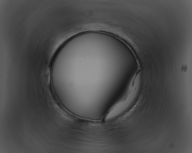 X0000091171509200708301145