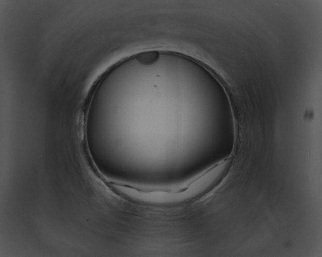 X0000091171510200708301145