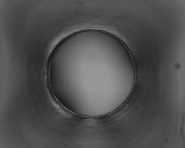 X0000091171511200708301145