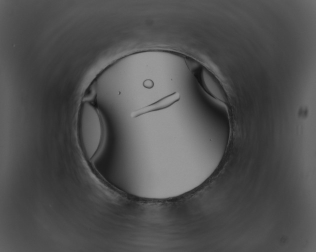 X0000091171512200708301145