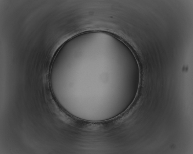 X0000091171513200708301145