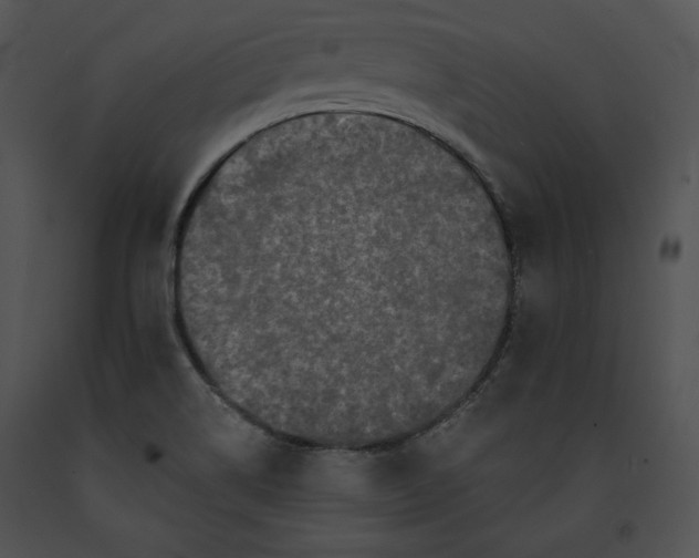 X0000091171514200708301145