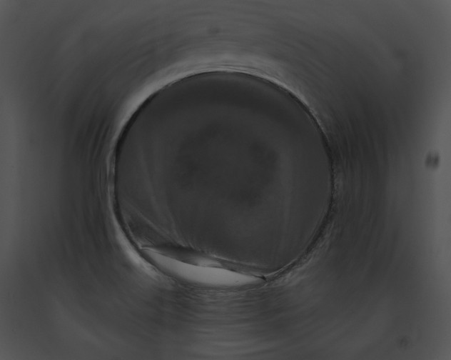 X0000091171515200708301145