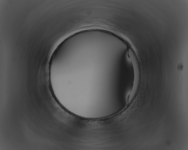 X0000091171516200708301145