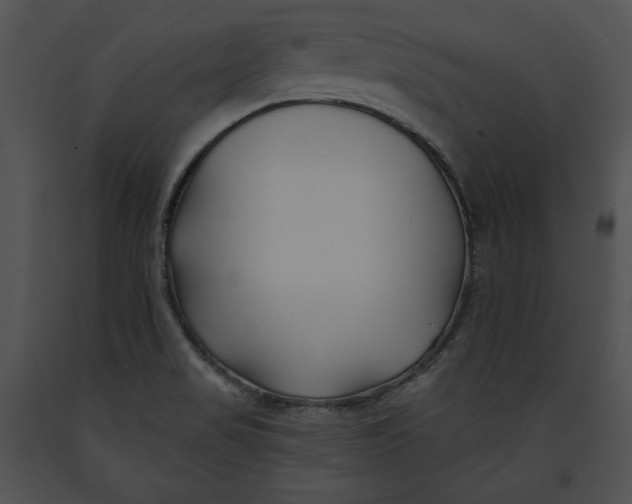 X0000091171517200708301145