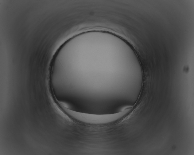 X0000091171518200708301145