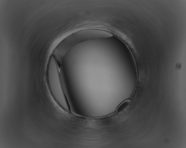 X0000091171520200708301145