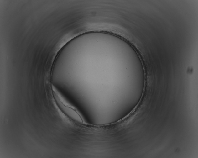 X0000091171521200708301145