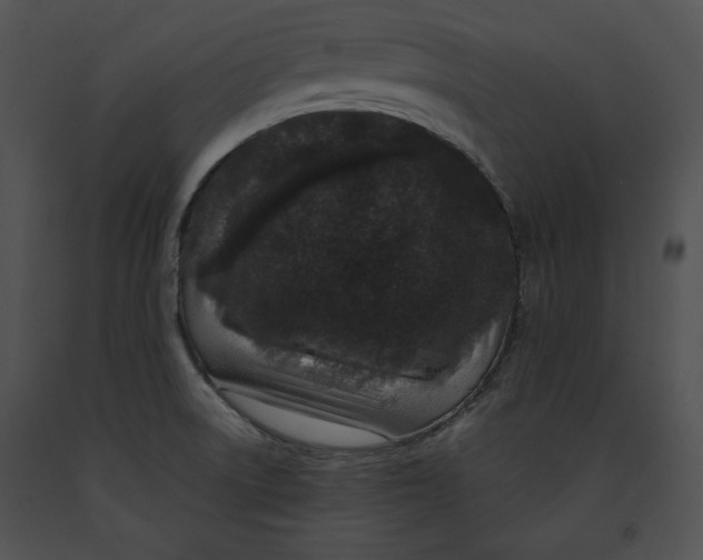 X0000091171522200708301145