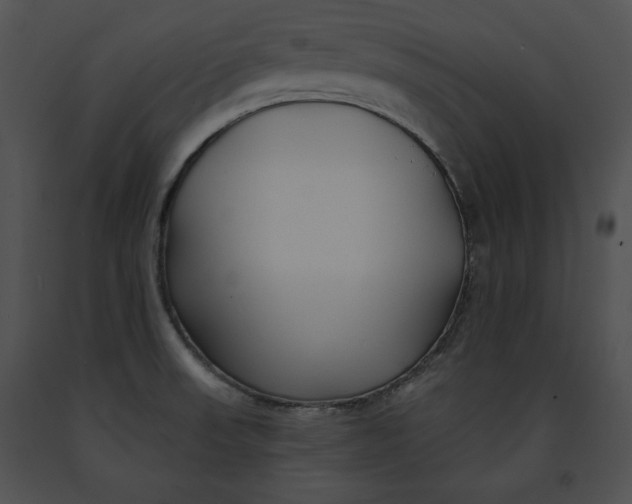 X0000091171523200708301145