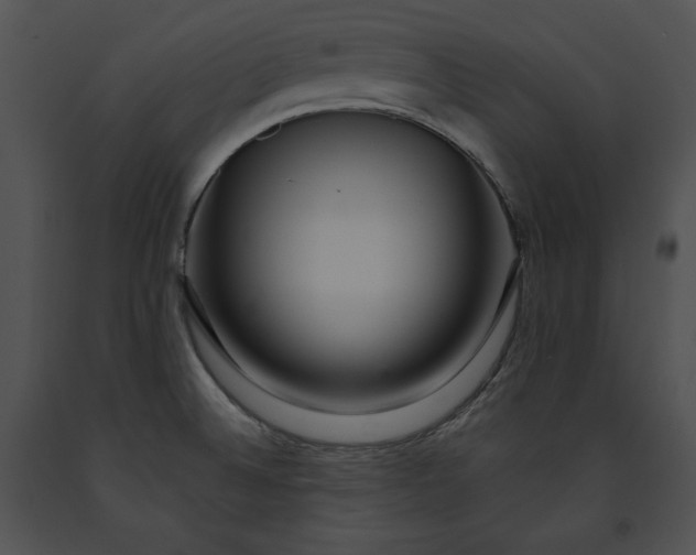 X0000091171524200708301145