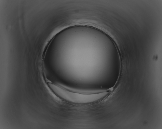 X0000091171525200708301145