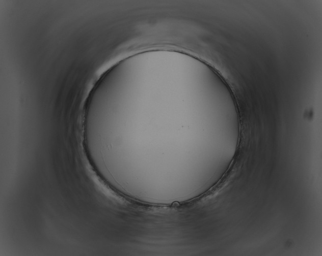 X0000091171526200708301145